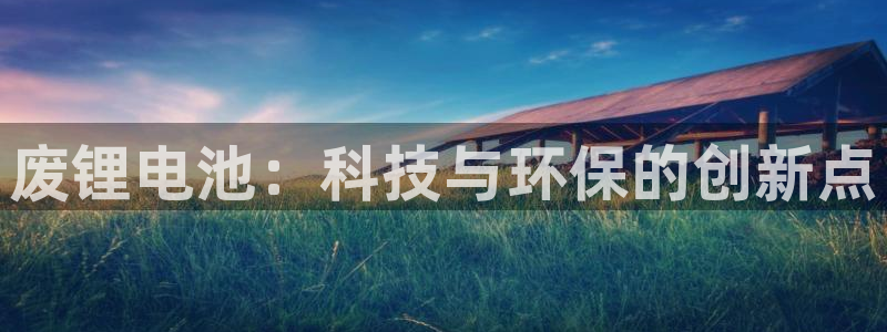 usdt交易地址