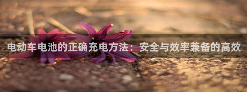 usdt如何支付