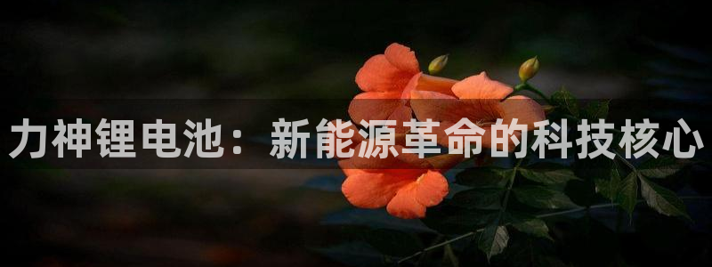 usdt正规吗