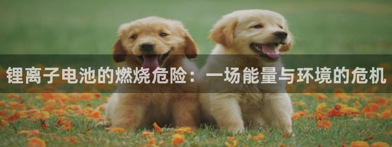 usdt钱包app官网下载安装