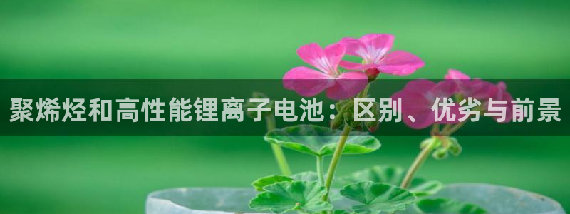 USDT钱包地址格式