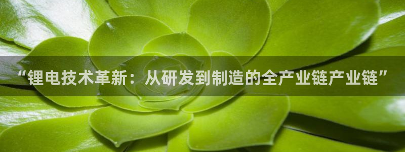 usdt交易买到假手机
