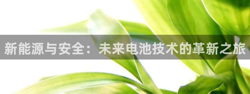 usdt地址查询官网