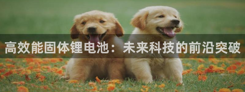 下载usdt钱包