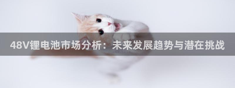 usdt钱包浏览器