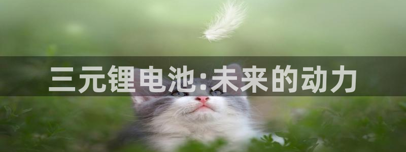 usdt用什么链