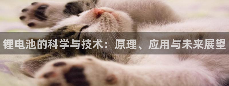usdt交易案例