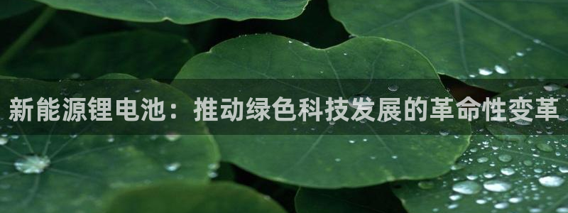 usdt交易能查到来源地址