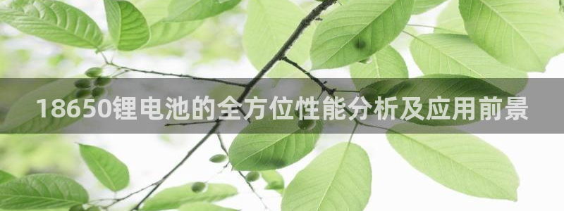 冷钱包转usdt到交易所