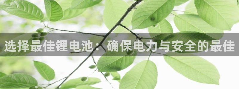 usdtbtc永续合约