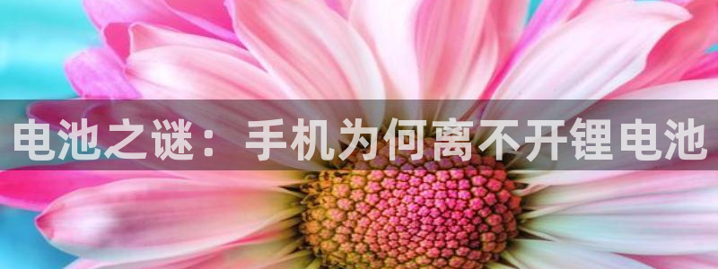 usdt钱包可以微信充值吗