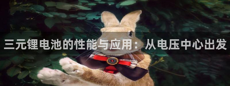 usdt钱包推荐