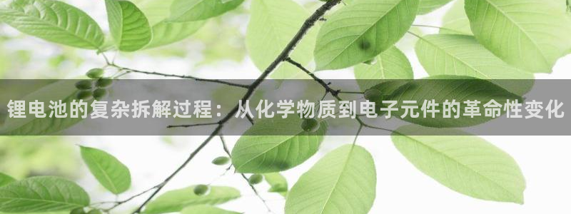 usdt账号模板