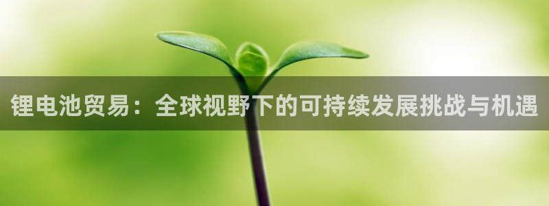 usdt 如何提现