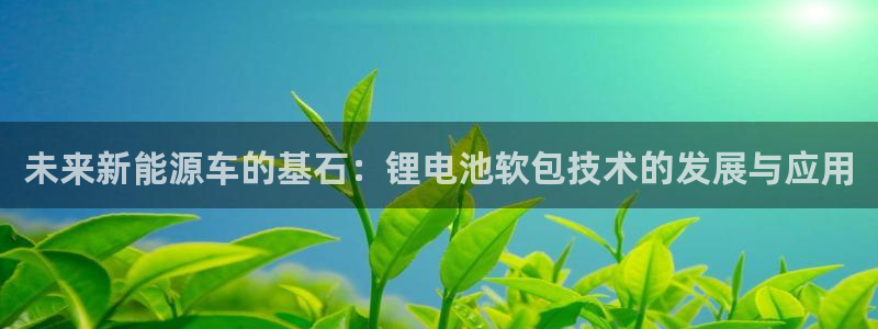 usdt提现容易么：未来新能源车的基石：